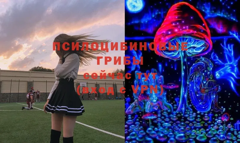 Галлюциногенные грибы MAGIC MUSHROOMS  blacksprut ссылки  Дно  как найти  